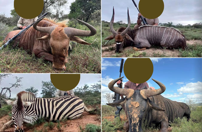 Collage of trophies taken during the February 2025 Spanish hunting safari in South Africa