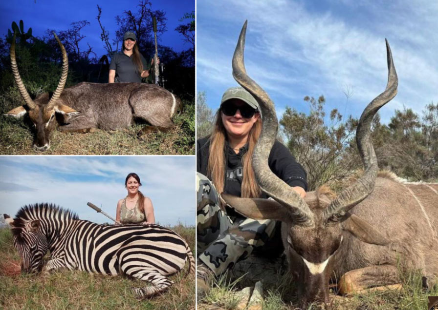 Black and white safari images of giraffe, hippo and spotted hyena from the Limpopo hunting safari
